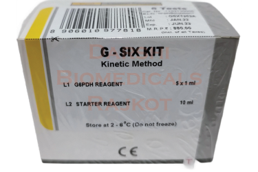 G - Six 5 T